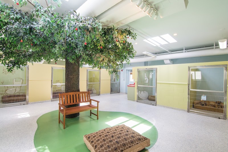 Toureen Pet Resort and Spa
