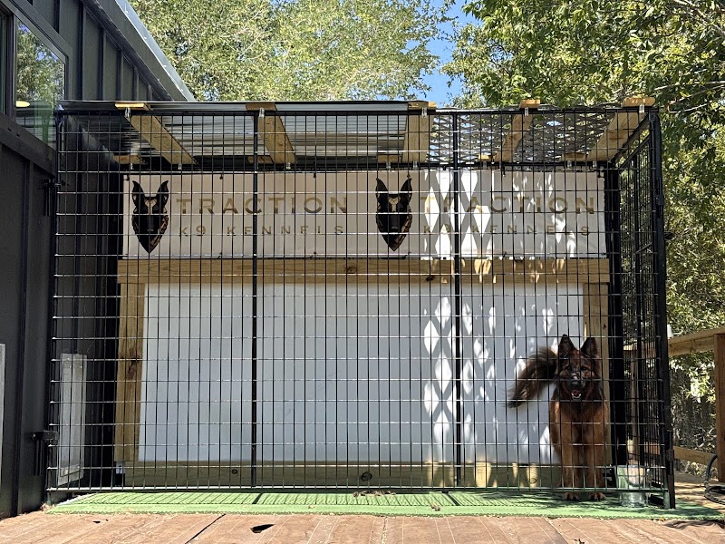 Traction K9 Kennels