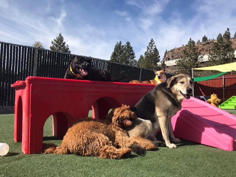 Truckee-Tahoe Pet Lodge