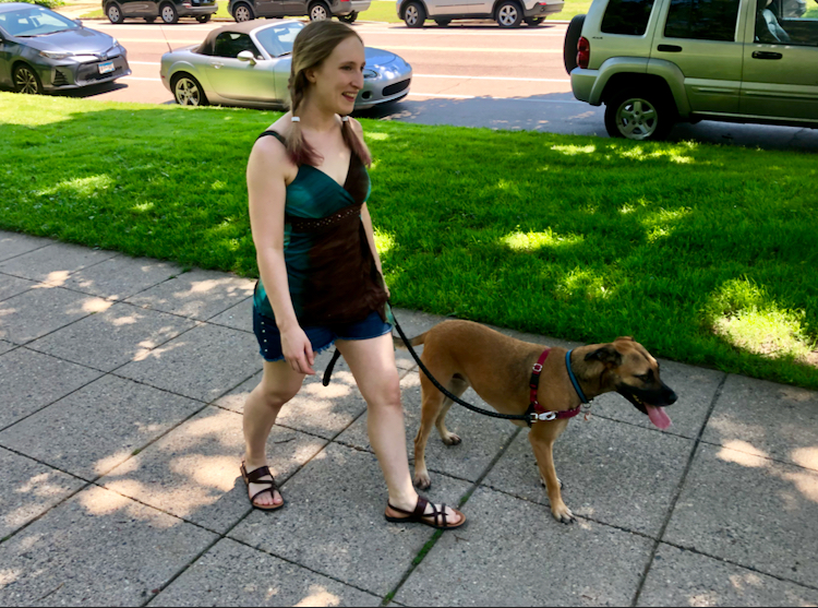 Twin Cities Premier Dog Boarding