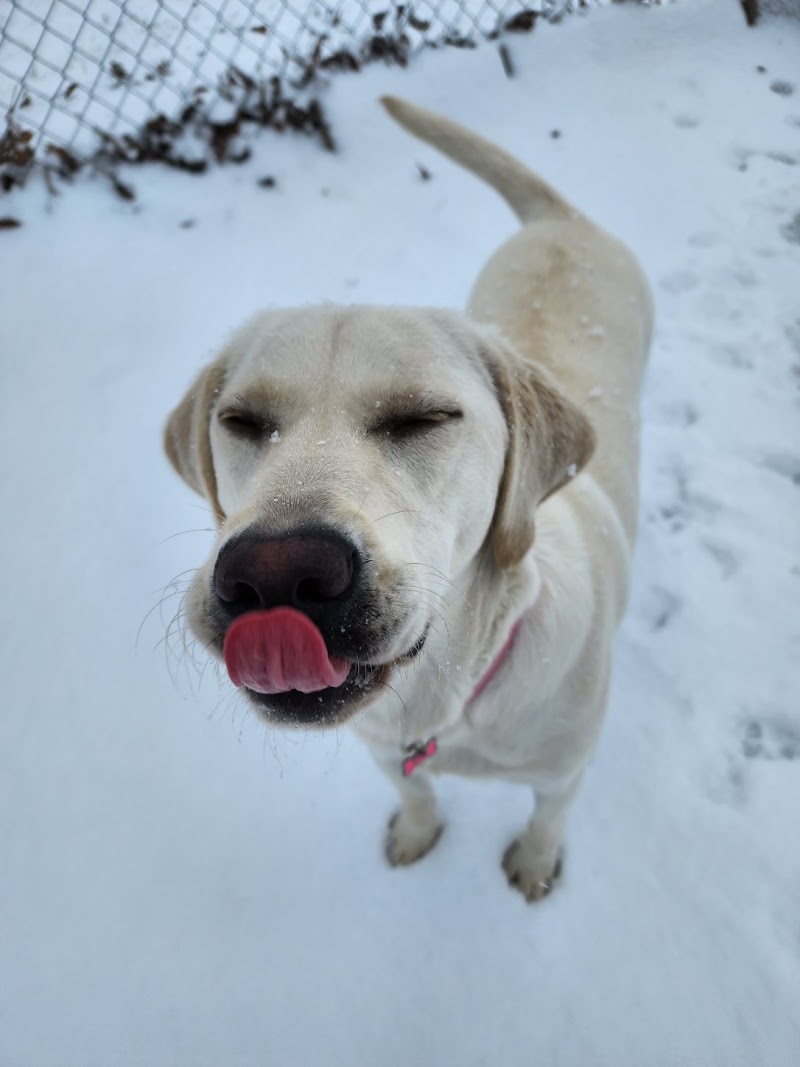 Twin Lakes Pet Resort & Spa