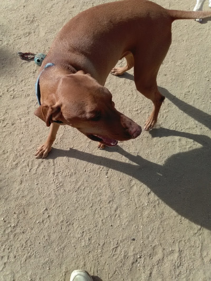 Ventura Dog Ranch
