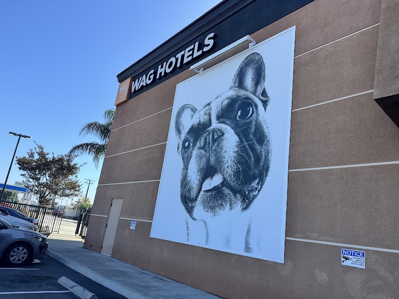 Wag Hotels - Carson