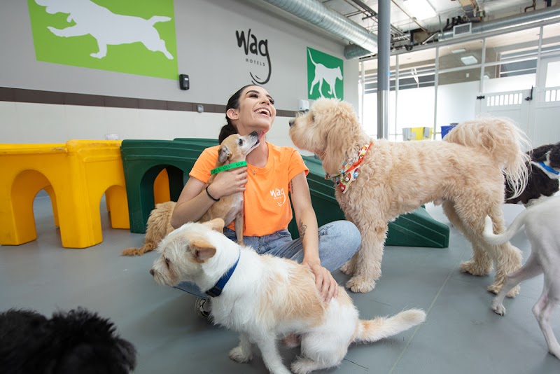 Wag Hotels - DFW
