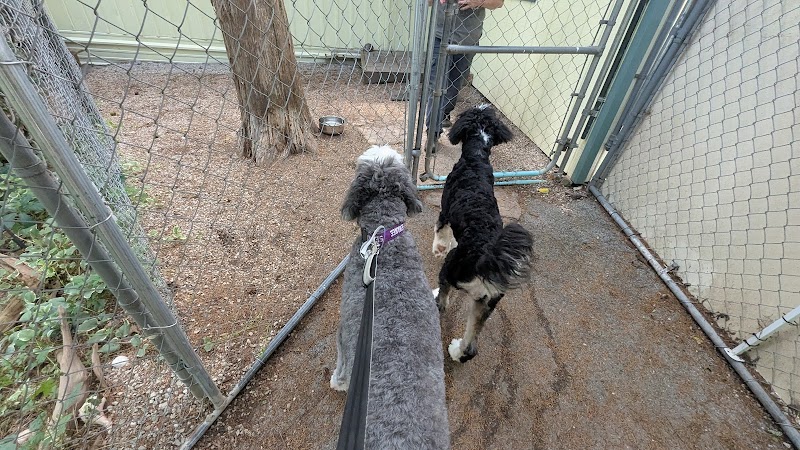 Wagging Tails Pet Resort