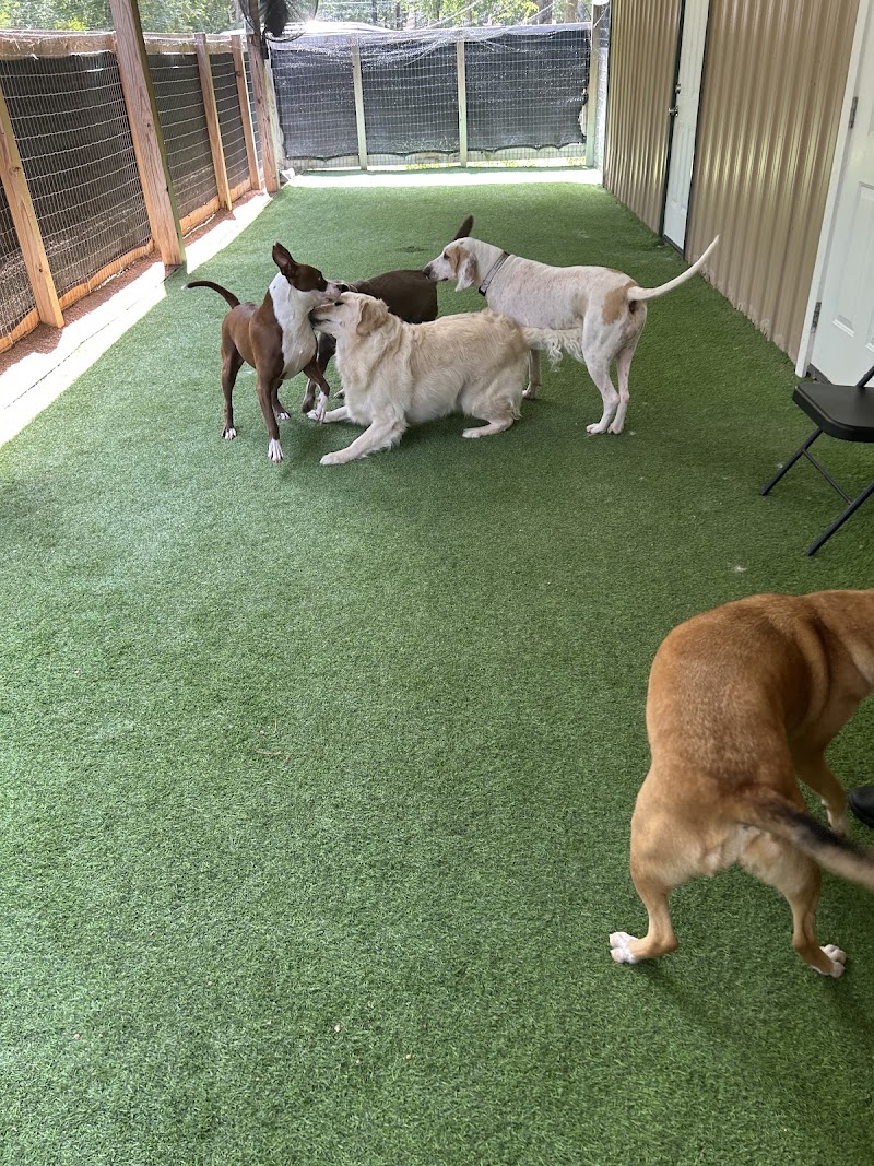 We Heart Dogs