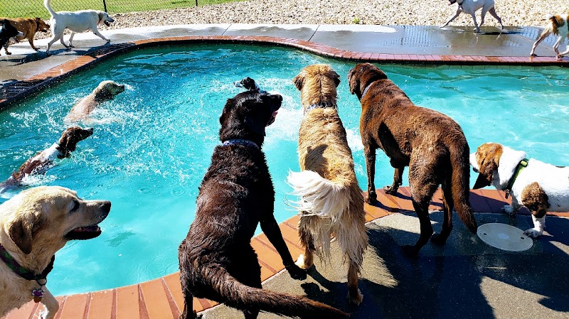 West Chester Pet Resort