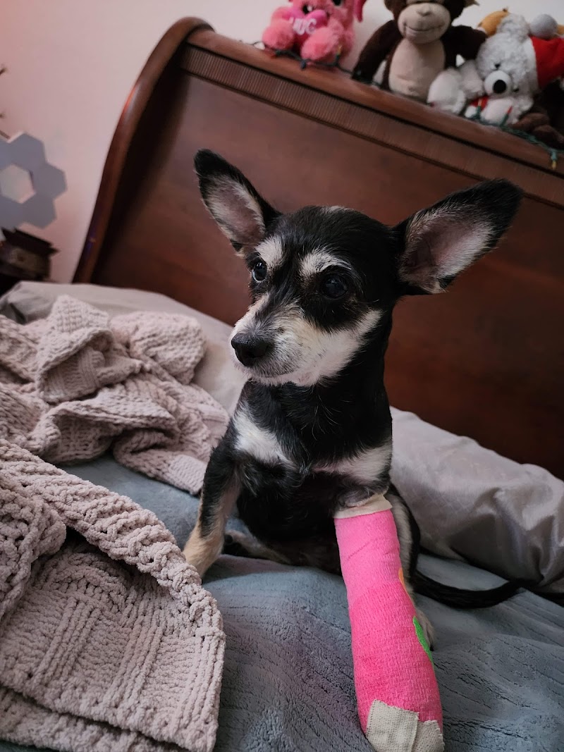 West Russell Animal Hospital