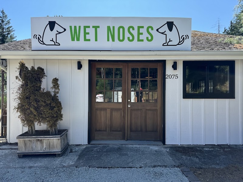 Wet Noses