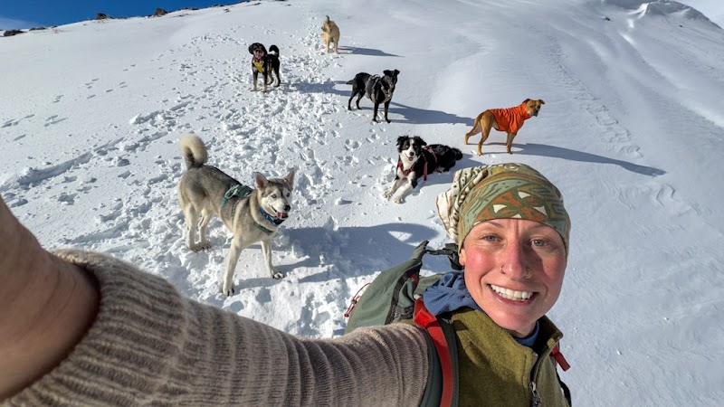 Wild Pup Adventures- Dog Adventures