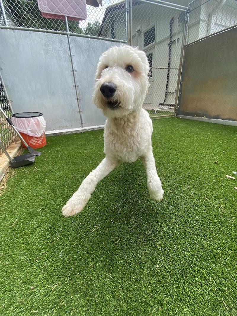 Winder Pawville - Boarding, Daycare, & Grooming