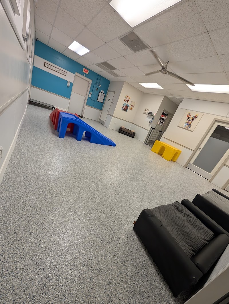 Winter Park Paws Dog Daycare & Suites