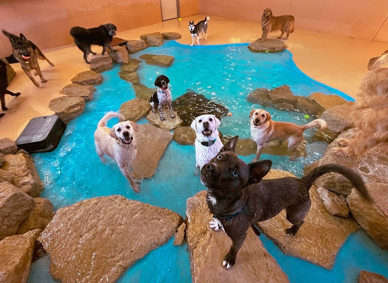 Woof Dah!