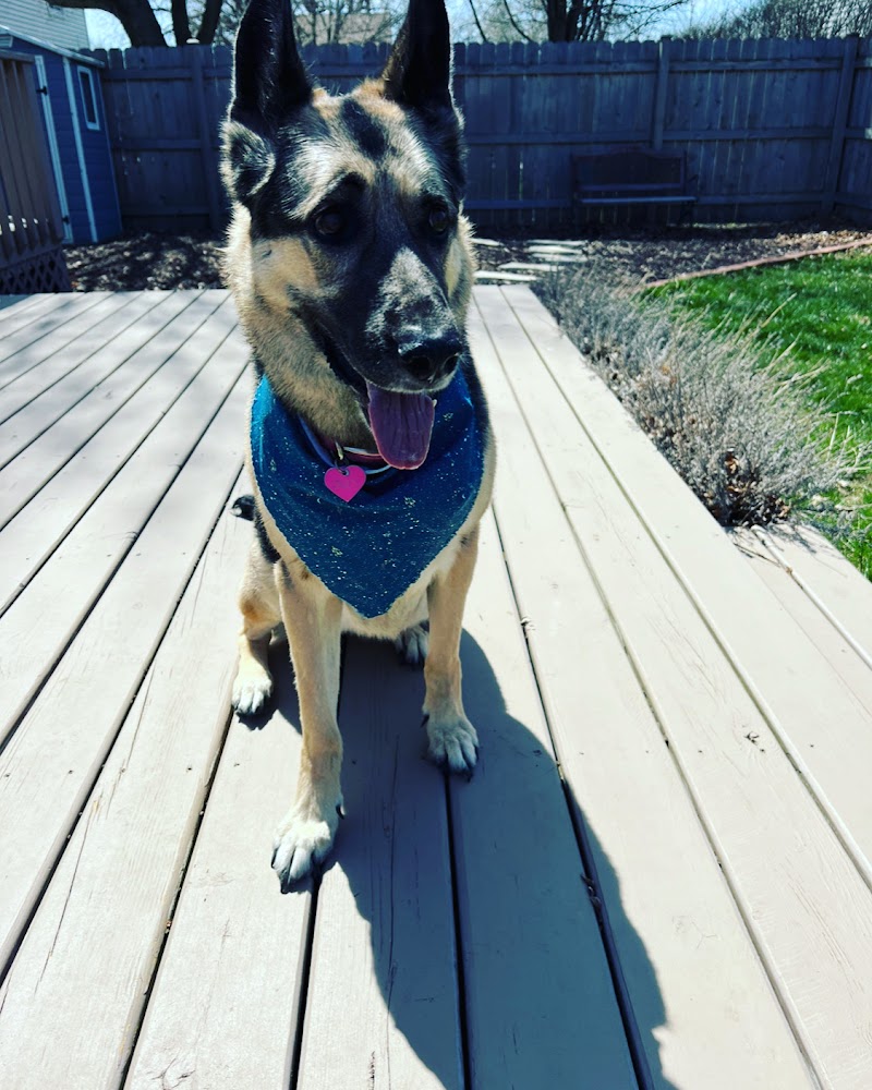 Woofman's Lodge Pet Resort