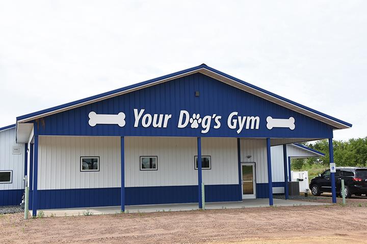 Your Dog's Gym