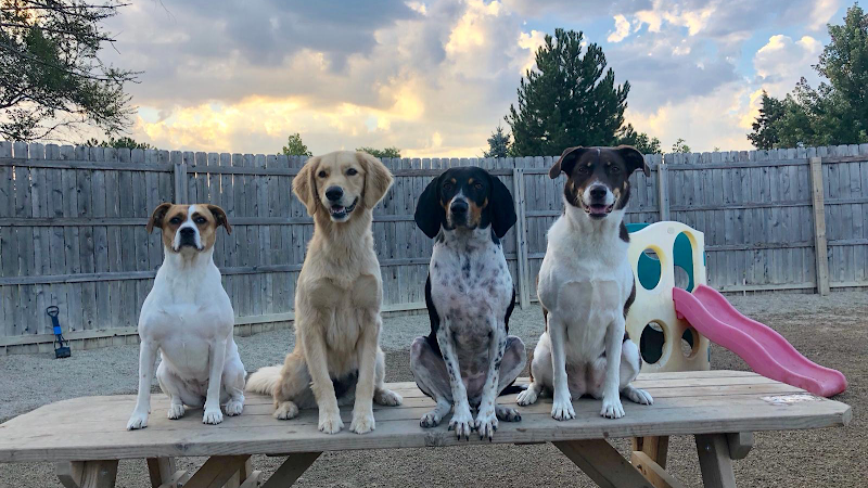 Yuppie Puppie Play Care