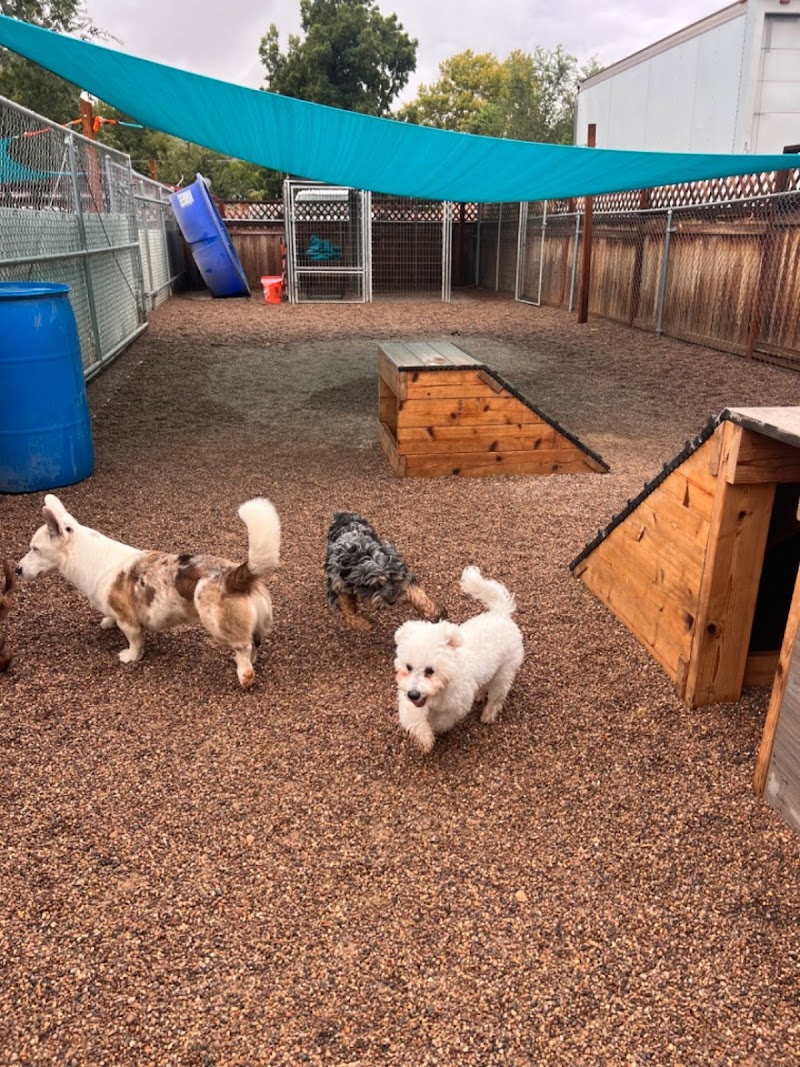 Zion Canyon Canine Recreation Center & Spa