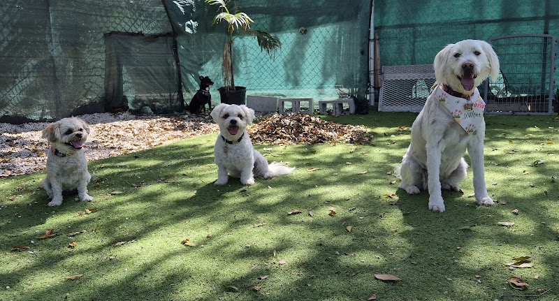 Zoomies pet villas